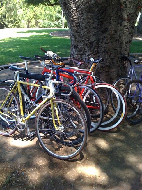 bikes1 bikes1